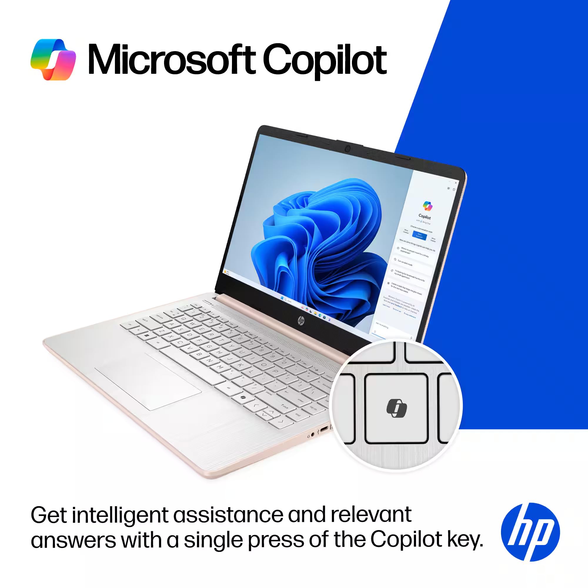 Amazon.com: HP 14